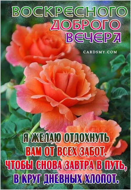 Картинка! С добрым вечером! Открытка на вечер! Желаю, море добра, океан удачи и целую гору счастья! Пусть...