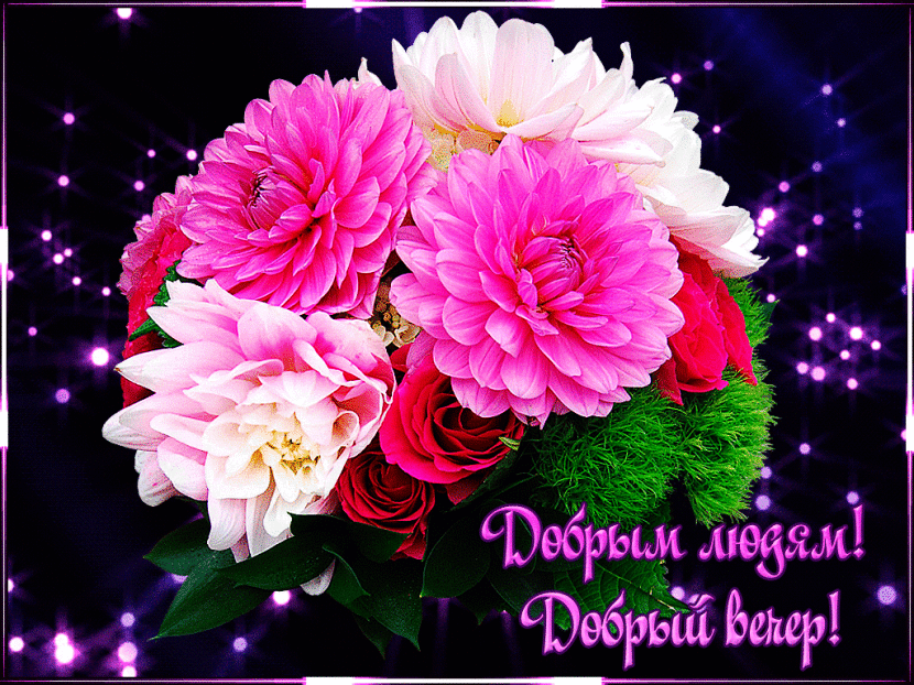 Открытка! Добрый вечер! Картинка! Пусть каждый день вашей жизни показывает, великий и добрый...