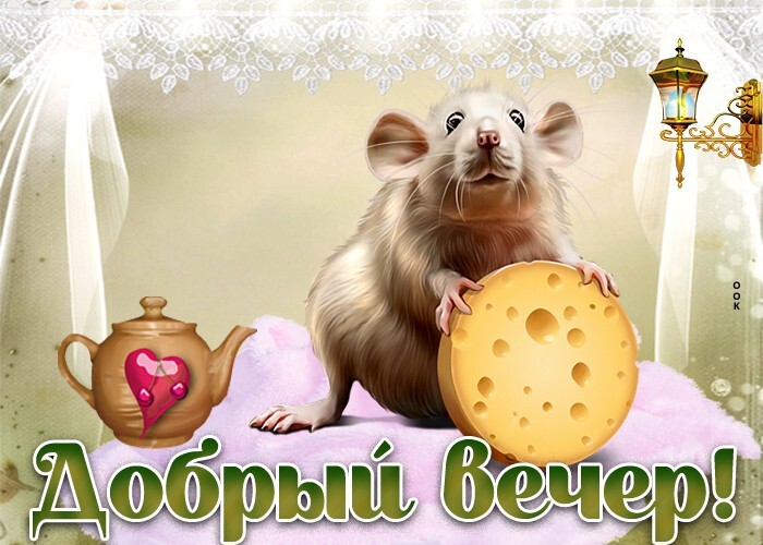 Открытка! От души! Добрый вечер! Сердечная открытка! Любовь — она как ангел, окрыляет. Пусть любовь...