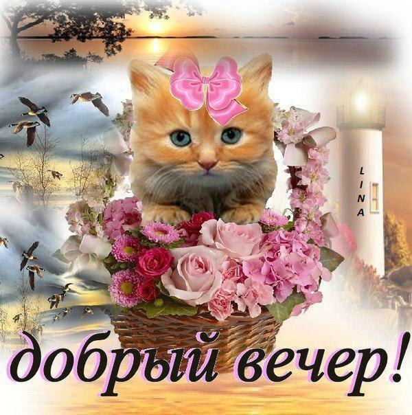 Открытка! Добрый вечер! Открытка! Как хорошо! — Вот эту фразу я желаю тебе произносить...