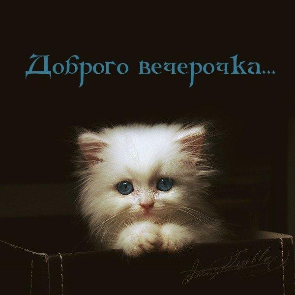 Открытка! От души! Добрый вечер! Сердечная открытка! Желаю тебе отличного дня! Пусть счастье окутает тебя...
