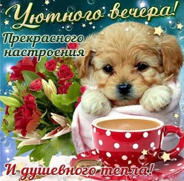Картинка! Доброго вечер! Открытка! Желаем результативного труда и интересного досуга...