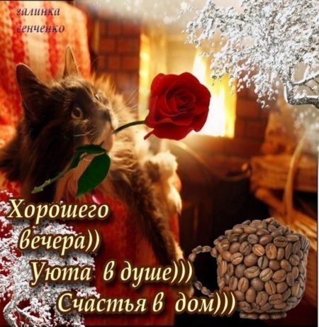 Открытка! Добрый вечер! Открытка от души! Приятного вечера! Хочу пожелать вам много самого прекрасного: чтобы здоровье...
