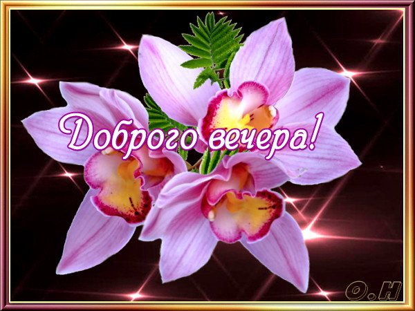 Картинка! Добрый вечер! Открытка! Пусть в твою жизнь постучится огромное счастье и останется...