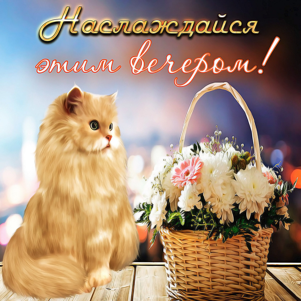 Открытка! От души! Добрый вечер! Сердечная открытка! Я искренне желаю вам полного благополучия как в личной...