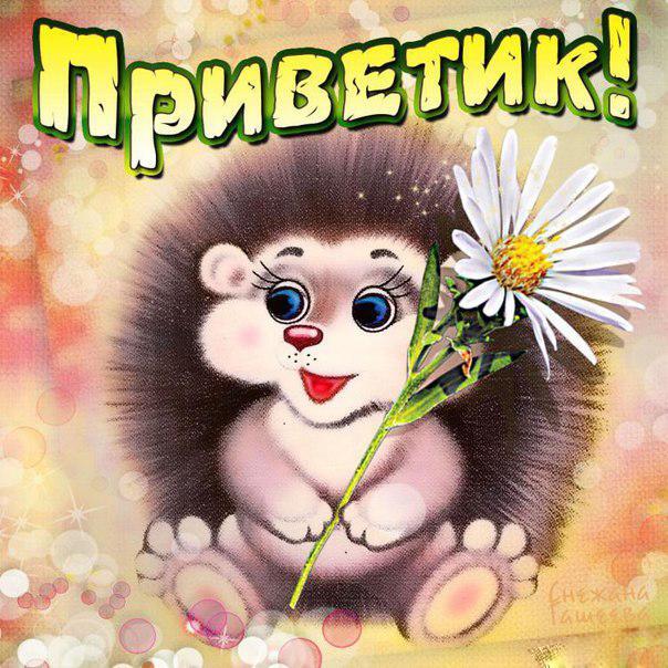 Картинка! Привет! Открытка! Что-то меня сегодня штормит, что-то голова кружится...