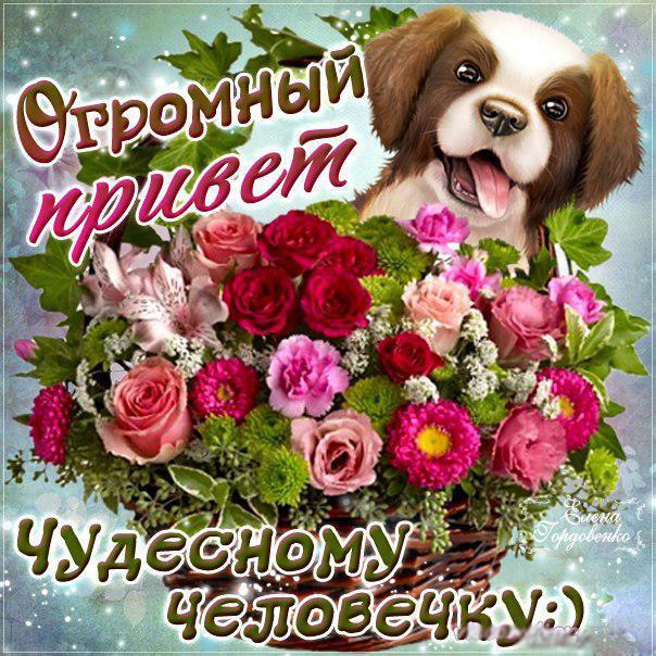 Картинка! Открытка со словом привет! Картинка привет! Привет, мой самый близкий человек, мой лучший друг, моя...
