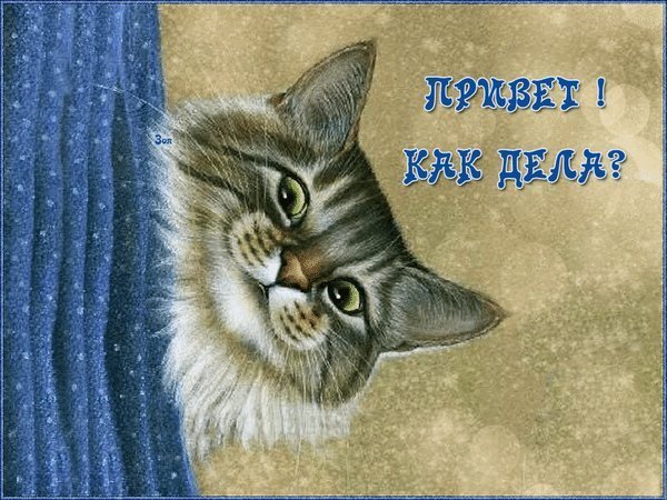 Открытка! Привет! Картинка! Любимый, мне с тобой так повезло! Ты и мудрый, и щедрый, и...