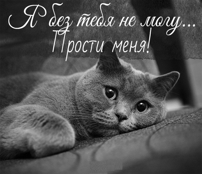 Картинка! Прости меня, пожалуйста! Открытка с извинениями! Порой бывает, что хочешь сделать как лучше, а в результате...