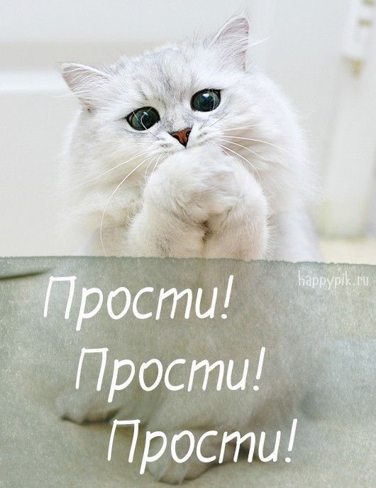 Картинка! Извини! Открытка! Моя любимая! Я виноват перед тобой, и очень прошу меня...