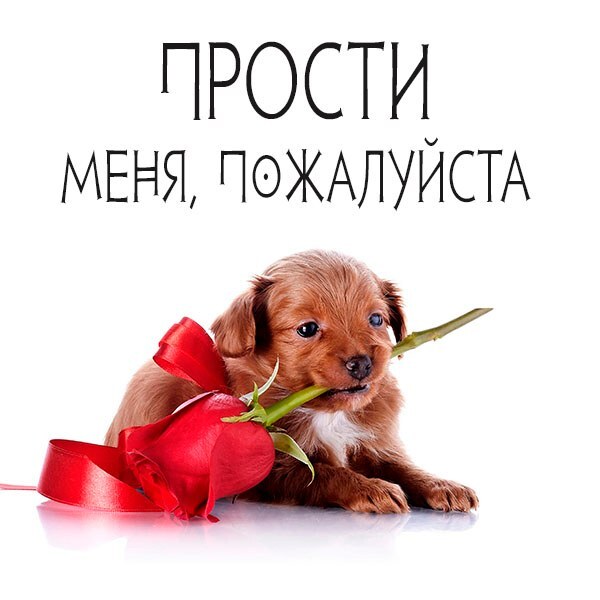 Картинка! Извини! Открытка! Прими мои искренние извинения, дорогая и любимая! Если я...