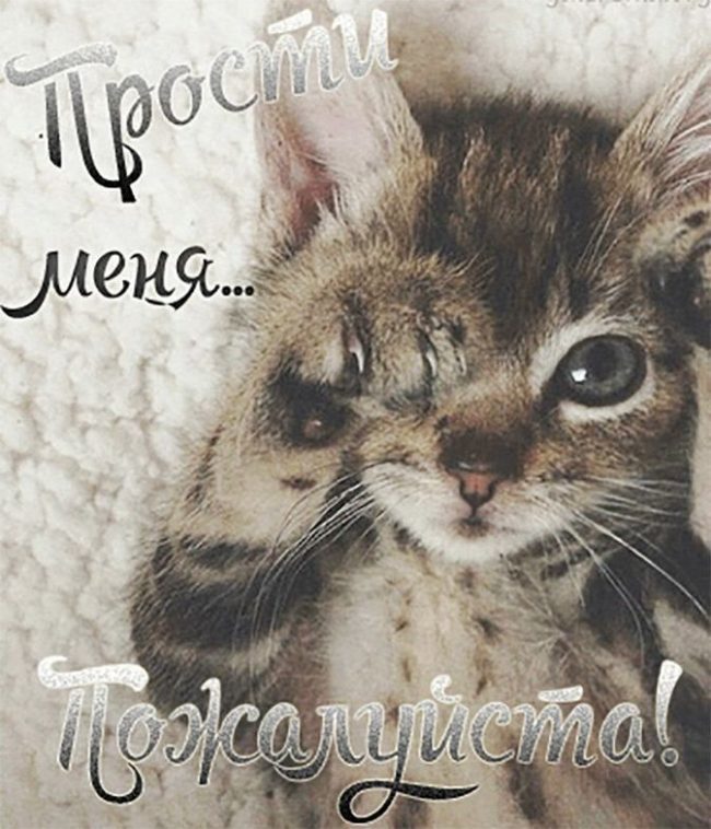 Открытка! Прости меня, пожалуйста! Открытка с извинениями! Прости меня, пожалуйста! Знаю, я очень виноват(-а) перед...