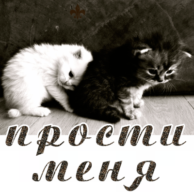 Открытка! Извини, пожалуйста! Открытка от души Прости меня! Прошу прощения! Мы просим извинить за доставленные неудобства и благодарим...
