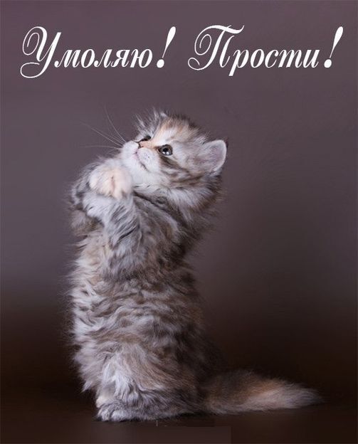 Открытка! Прости меня! Открытка! Как тяжело признать свою неправоту и как трудно бывает...
