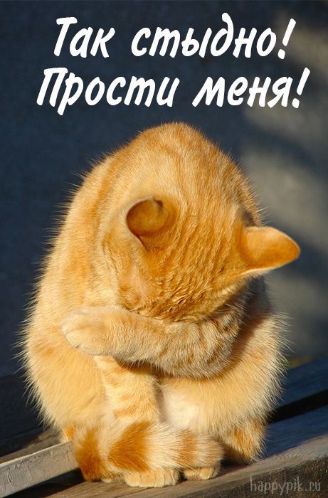 Открытка! Открытка со словами Прости меня! Картинка! Мы искренне приносим вам свои извинения за случившийся...