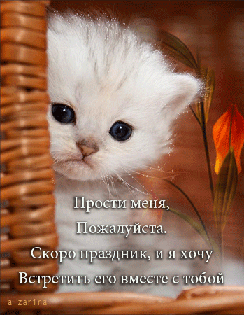 Картинка! Прости меня, пожалуйста! Открытка с извинениями! С Богом в душе прошу прощения за нанесенную обиду...