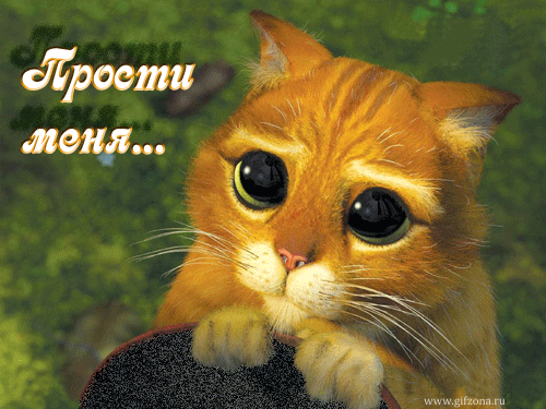 Картинка! Прости меня! Картинка! Ужасно, что вам пришлось испытать неудобства по нашей вине...