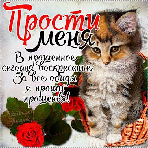 Открытка! Прости меня, пожалуйста! Открытка с извинениями! Пожалуйста, прости меня за доставленные хлопоты! Мне очень...