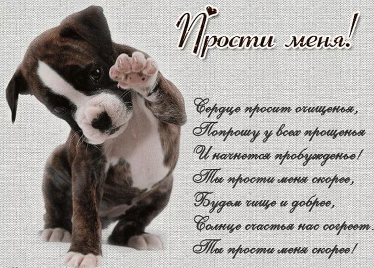 Картинка! Красивая открытка! Картинка! Прости меня! Пожалуйста, выслушай, это важно. Хочу попросить у тебя...