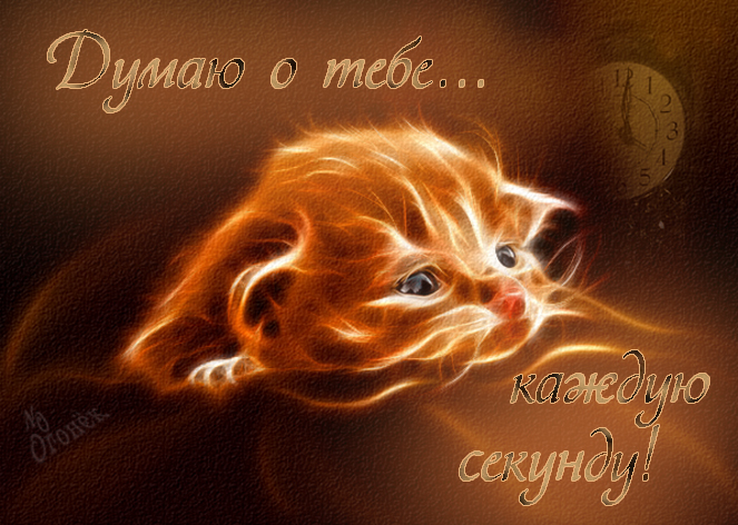 Картинка! Думаю о тебе! Ты в моих мыслях! Открытка! Когда курьер развозит букеты и подарки, пусть твои будут...