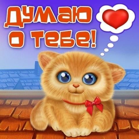 Открытка! Думаю о тебе! Открытка от души! Для того, чтоб женщина была счастлива, ей необходима...