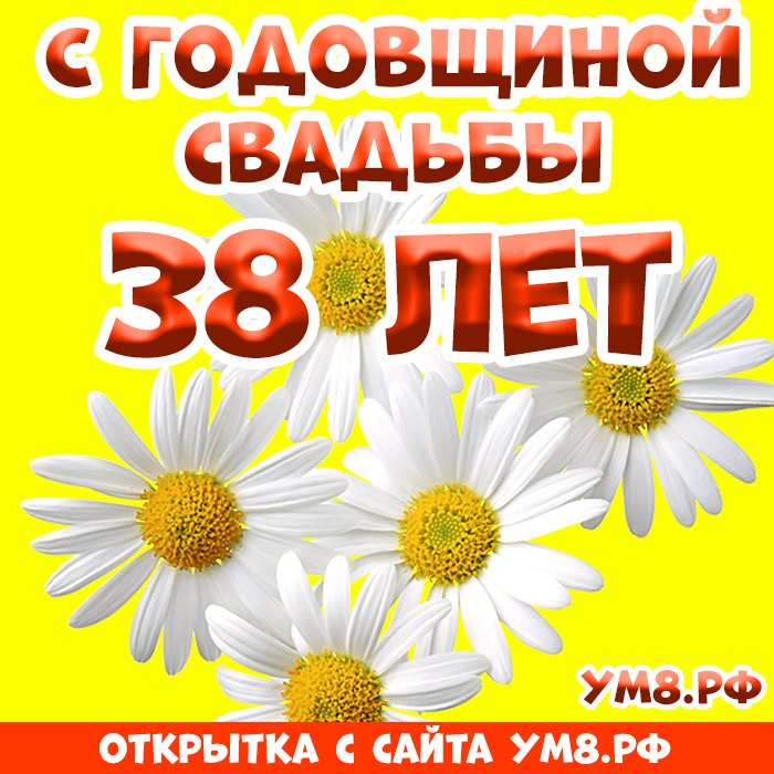 Открытка! С годовщиной свадьбы! Вам 38 лет! Открытка! Нет никакого секрета в счастливой семейной жизни, но...