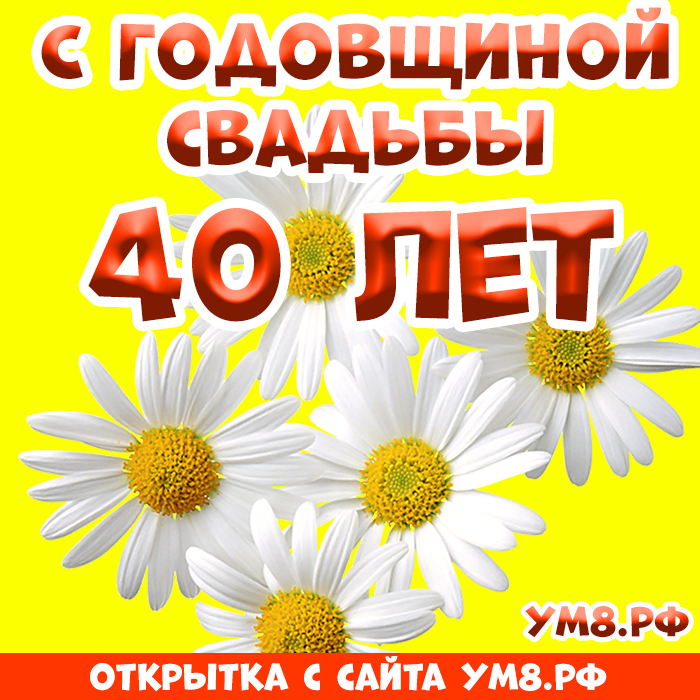 Картинка! Красивая открытка! Картинка! С годовщиной свадьбы 40 лет! Невероятный срок пройден вами рука об руку: целых сорок лет...