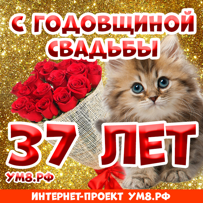 Картинка! Открытка 37 лет! С годовщиной свадьбы! Поздравляю с 37 годовщиной вашей семейной жизни! В этот...