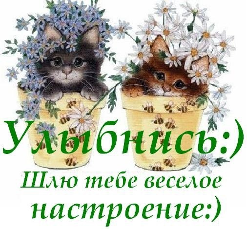 Открытка! Улыбнись! Картинка с улыбкой! Рады за тебя, что наконец-то ты получил долгожданный...