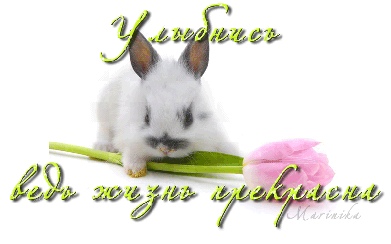 Картинка! Улыбнись! Открытка с улыбкой! В четверг слегка усталость налегла, но пусть силы откроются...