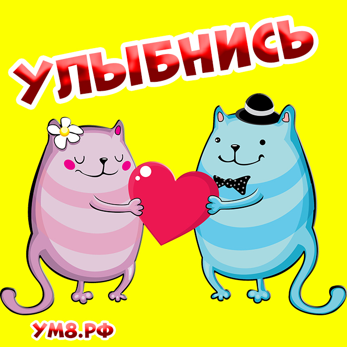 Картинка! Улыбнись! Открытка от души с улыбкой! Как твоя подруга, хочу, чтобы ты не обижалась на меня за...