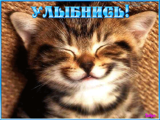 Открытка! Улыбнись! Открытка с улыбкой! Мы идем по дороге жизни, порой спотыкаясь и ошибаясь, но...