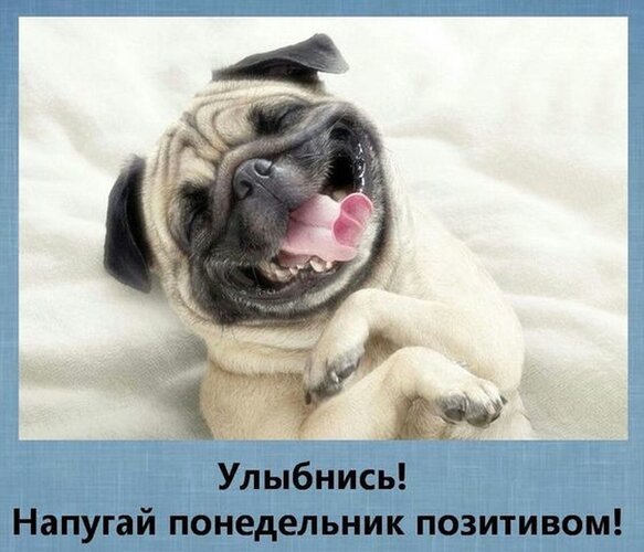 Открытка! Улыбнись! Открытка! Приятный отдых — залог здоровья! А это самое главное...