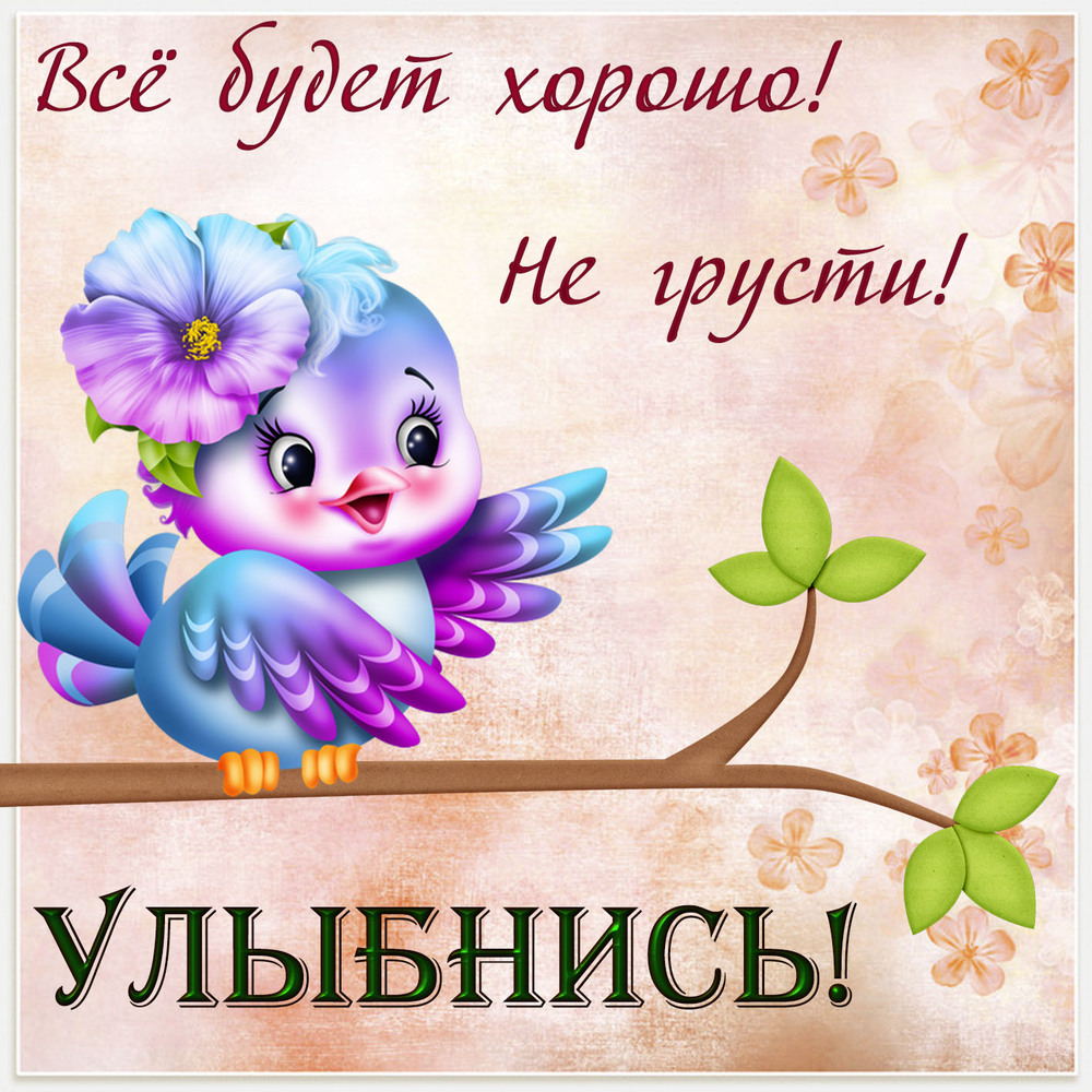 Открытка! Улыбнись! Открытка от души с улыбкой! Человек так устроен, что всегда готовится к чему-то...