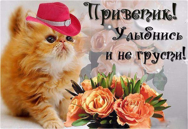 Картинка! Красивая открытка! Картинка! Улыбнись! Пусть Господь хранит Вас от всяких невзгод. Пусть никакие...
