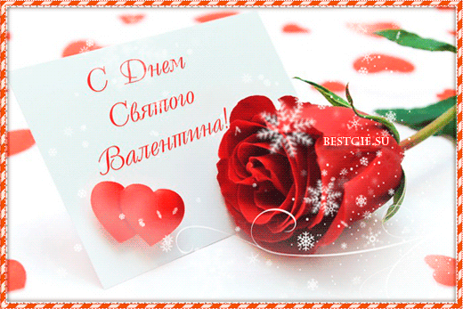 Открытка! Открытка на 14 февраля! Для девушки! Картинка моей любимой! Когда я думаю о тебе, мое сердце выпрыгивает из груди...