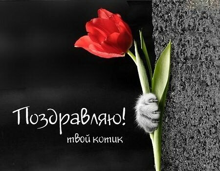 Картинка! С днём 8 марта! Открытка женщине! Желаю тебе вселенского благополучия: мешки денег, яхты и...