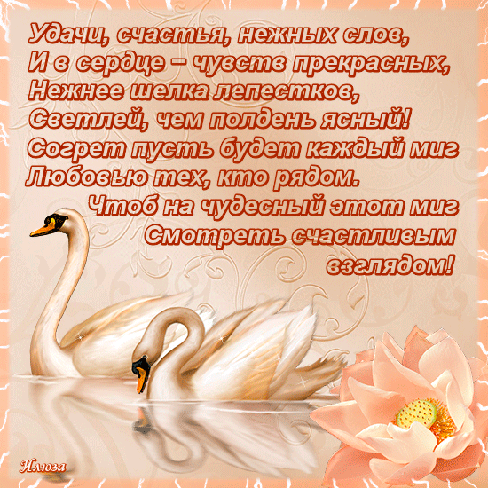 Открытка! С днём святого Валентина! Любимой девушке! Открытка! Обожаю тебя солнышко, люблю тебя мой цветочек. Ты свет в...
