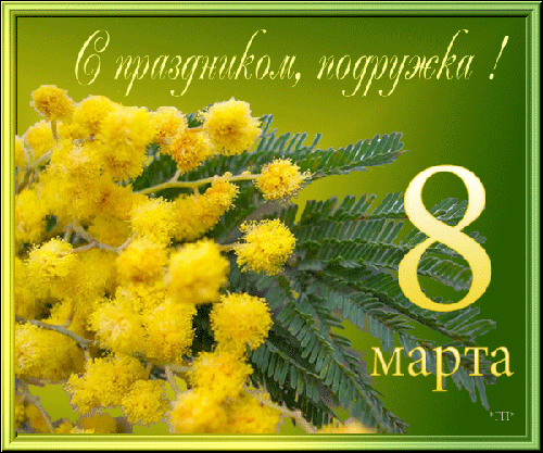 Открытка! Красивая открытка подруге! Картинка на 8 марта женщине! Подружка, поздравляю тебя с самым весенним праздником...