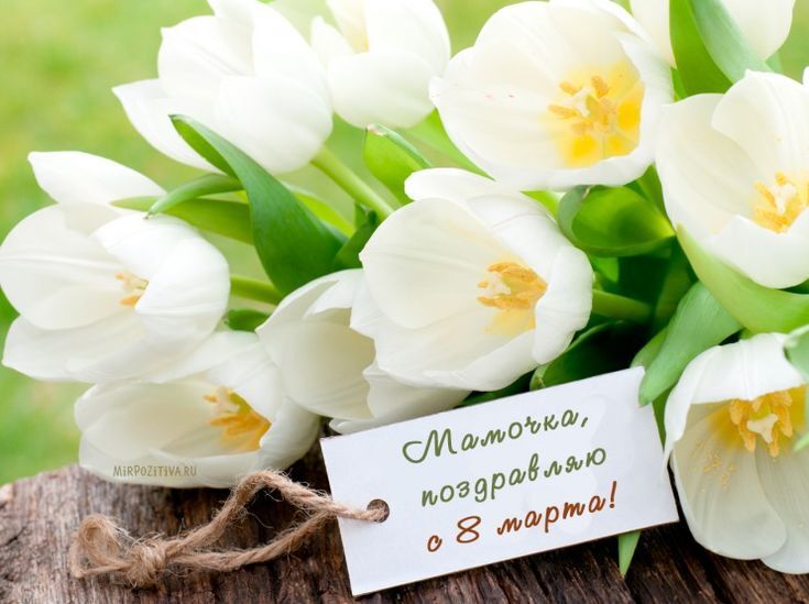 Открытка! Красивая открытка маме! Картинка на 8 марта женщине! Мамуля, мое доброе и родное солнышко! Поздравляю тебя с...