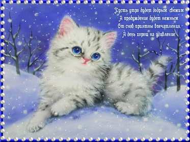 Открытки доброе зимнее утро Картинка открытка с пожеланиями доброго зимнего утра, зима доброе утро Открытка открытки картинка картинки с добрым зимним утром, доброго зимнего утречка, зимнее утро открытки, картинки доброе утро зимы, зимнее утро скачать бесплатно