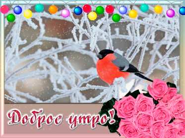 Открытки доброе зимнее утро Картинка открытка с пожеланиями доброго зимнего утра, зима доброе утро Открытка открытки картинка картинки с добрым зимним утром, доброго зимнего утречка, зимнее утро открытки, картинки доброе утро зимы, зимнее утро скачать бесплатно