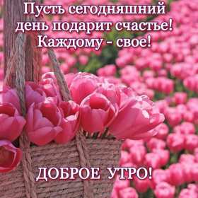 Открытки с добрым утром! Открытка доброе утро, с добрым утром, пожелания доброго утра . Картинка открытка картинки открытки с пожеланиями доброго утра, доброе утро, доброго утречка, открытка картинка доброе утро, красивая, яркая открытка доброе утро, скачать