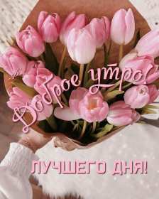 Открытки с добрым утром! Открытка доброе утро, с добрым утром, пожелания доброго утра . Картинка открытка картинки открытки с пожеланиями доброго утра, доброе утро, доброго утречка, открытка картинка доброе утро, красивая, яркая открытка доброе утро, скачать