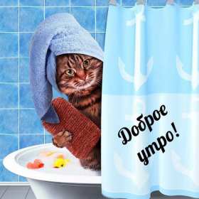 Открытки с добрым утром! Открытка доброе утро, с добрым утром, пожелания доброго утра . Картинка открытка картинки открытки с пожеланиями доброго утра, доброе утро, доброго утречка, открытка картинка доброе утро, красивая, яркая открытка доброе утро, скачать