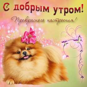 Открытки с добрым утром! Открытка доброе утро, с добрым утром, пожелания доброго утра . Картинка открытка картинки открытки с пожеланиями доброго утра, доброе утро, доброго утречка, открытка картинка доброе утро, красивая, яркая открытка доброе утро, скачать