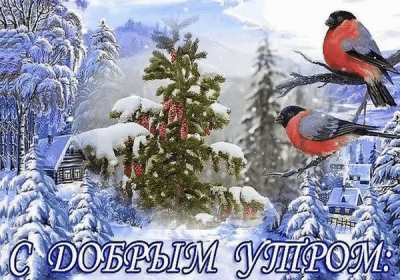Открытки доброе зимнее утро Открытка зимнее доброе утро, пожелания доброго зимнего утра . Картинка картинки открытка открытки доброго зимнего утра, зима, зимнее утро, доброе зимнее утро, открытка картинка зима доброе утро, зимнее доброе утро скачать бесплатно