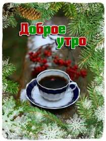 Открытки доброе зимнее утро Открытка зимнее доброе утро, пожелания доброго зимнего утра . Картинка картинки открытка открытки доброго зимнего утра, зима, зимнее утро, доброе зимнее утро, открытка картинка зима доброе утро, зимнее доброе утро скачать бесплатно