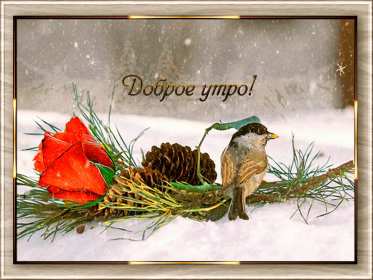 Открытки доброе зимнее утро Открытка зимнее доброе утро, пожелания доброго зимнего утра . Картинка картинки открытка открытки доброго зимнего утра, зима, зимнее утро, доброе зимнее утро, открытка картинка зима доброе утро, зимнее доброе утро скачать бесплатно
