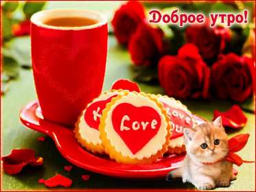 Открытки доброе утро любимая Открытка картинка доброе утро, с добрым утром любимая, милая. Открытка картинка открытки картинки с добрым утром милая, любимая, доброе утро любимая, открытка картинка для любимой с добрым утром, милая, дорогая с добрым утром